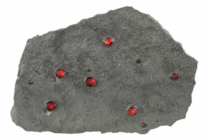 Plate of Nine Red Embers Garnets in Graphite - Massachusetts #272712